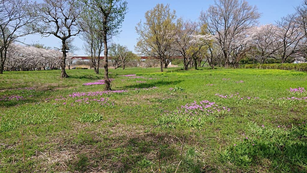Open Green Spaces
