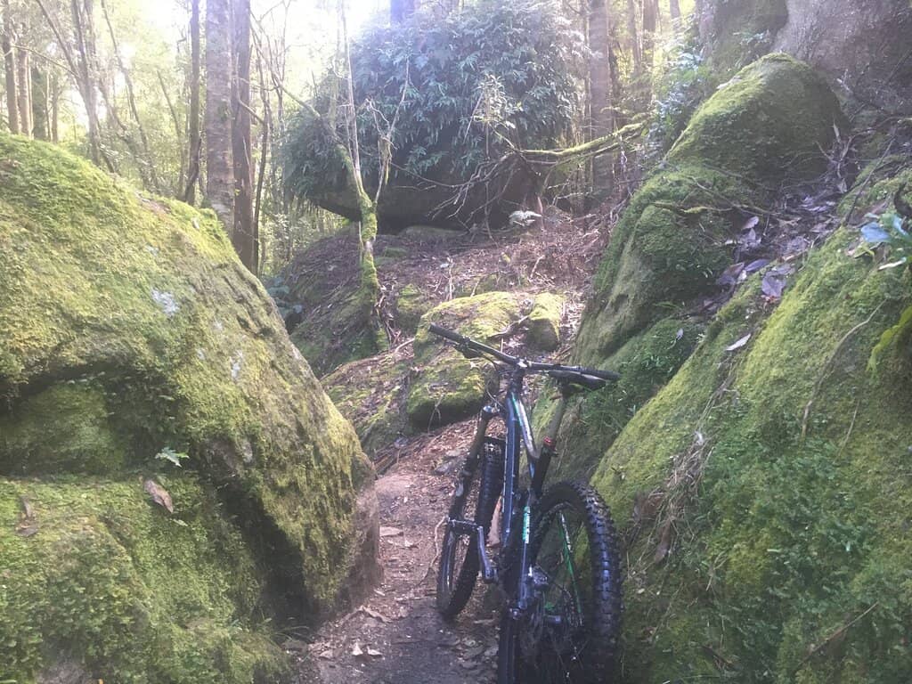 Pump Track & Skills Area