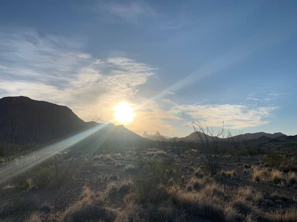 Unique Desert Flora & Fauna