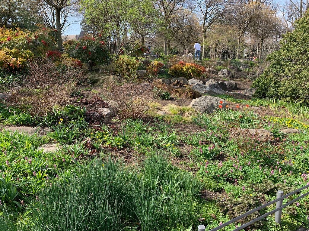 Lakeside Bar & Bites