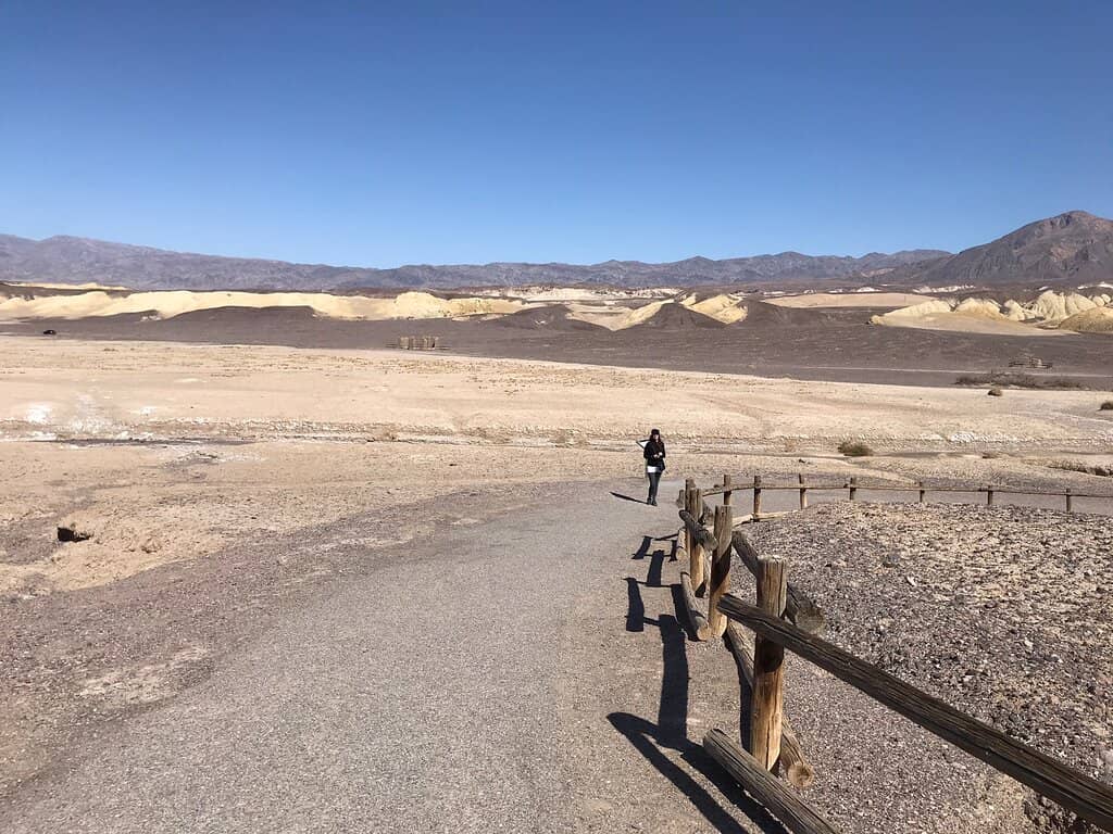 20-Mule Team Wagon Display