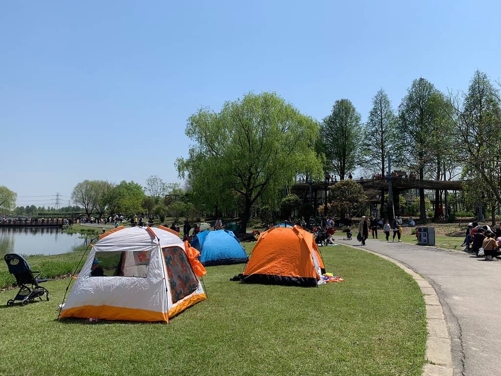 The Enchanting Quarry Garden