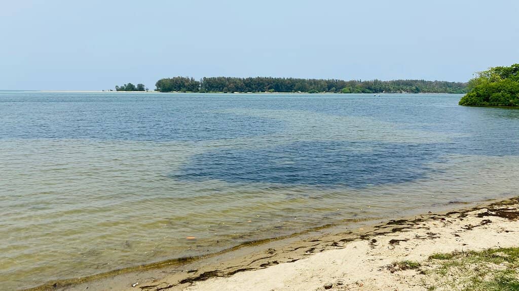 Batticaloa Lagoon Boat Ride