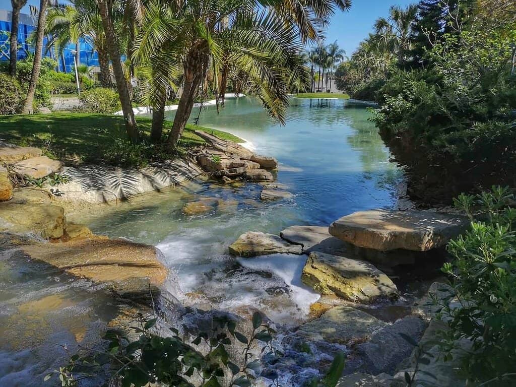 Terrace Dining Option
