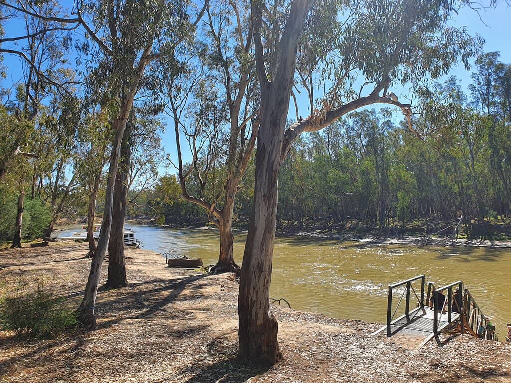 Wine Tasting Experience