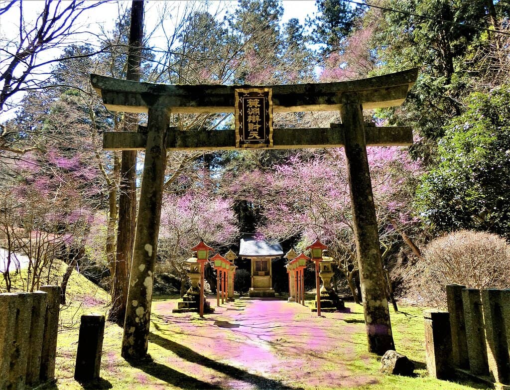 Vertical photo