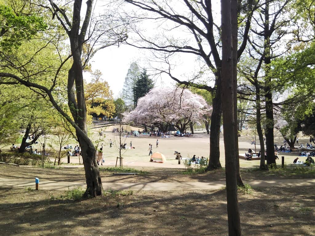Vertical photo