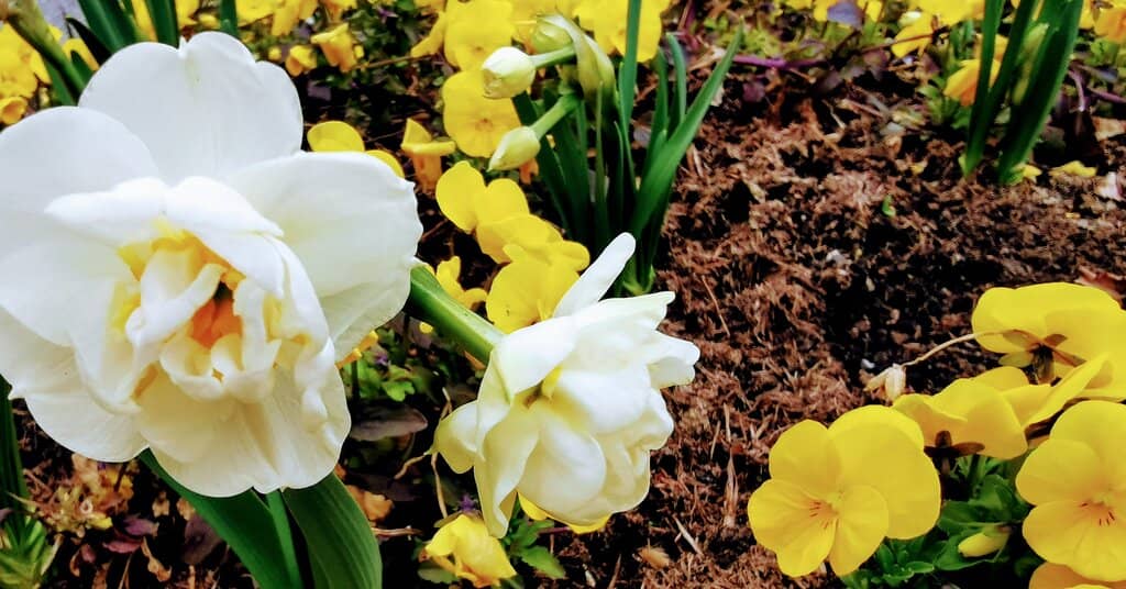 Peaceful Cemetery Grounds