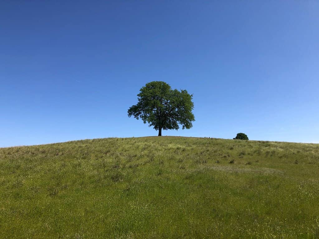 Peaceful Walking Trails