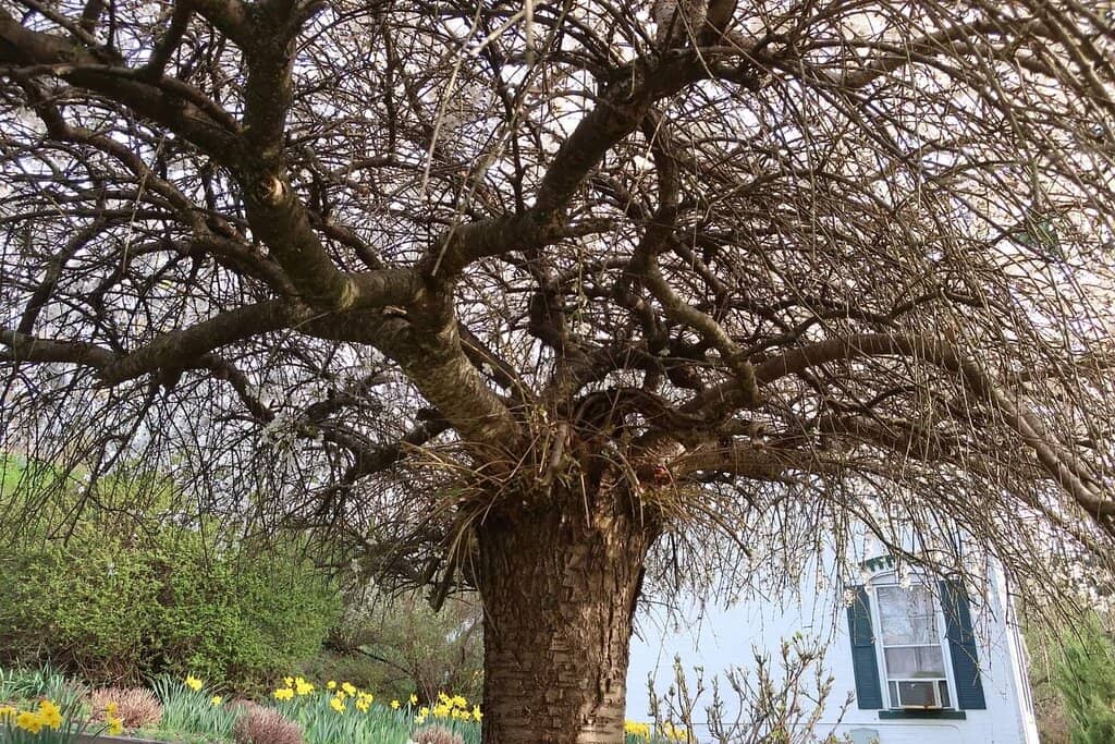 Catskill Mountain Views