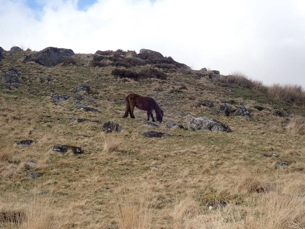 Postbridge Clapper Bridge