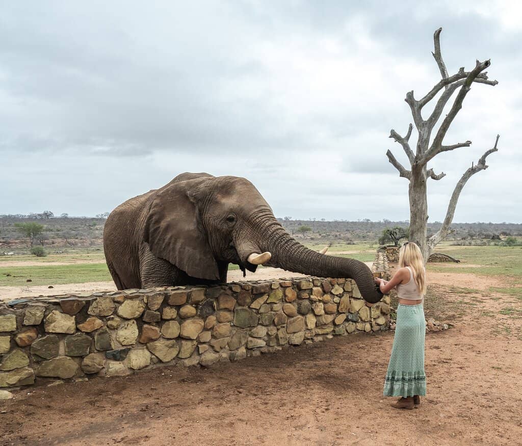 Private Game Drives