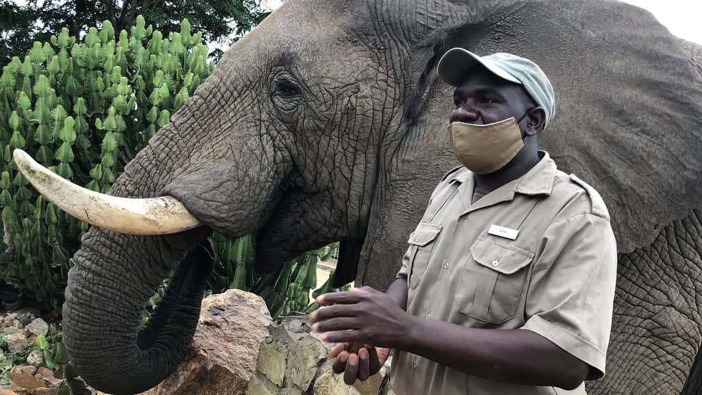Jabulani Herd Interaction
