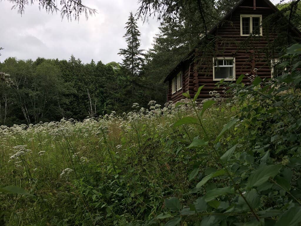 Wildlife Spotting