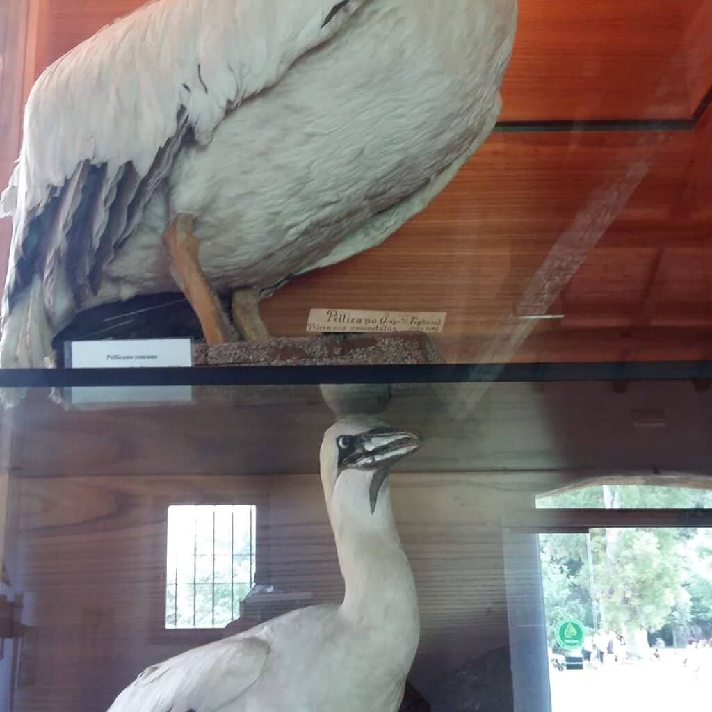 Wildlife Sanctuary