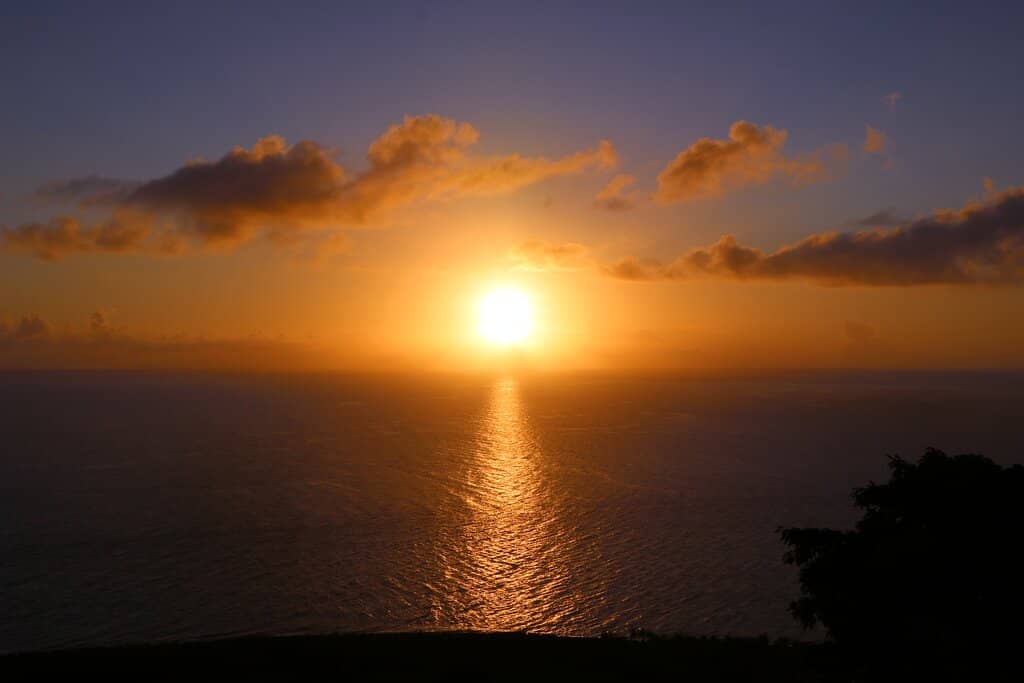 Panoramic Views