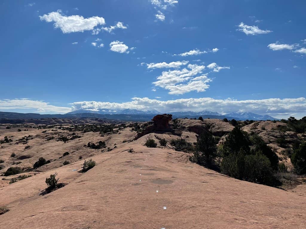 Desert Vistas