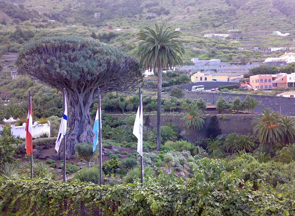 Lake Menéndez Navigation
