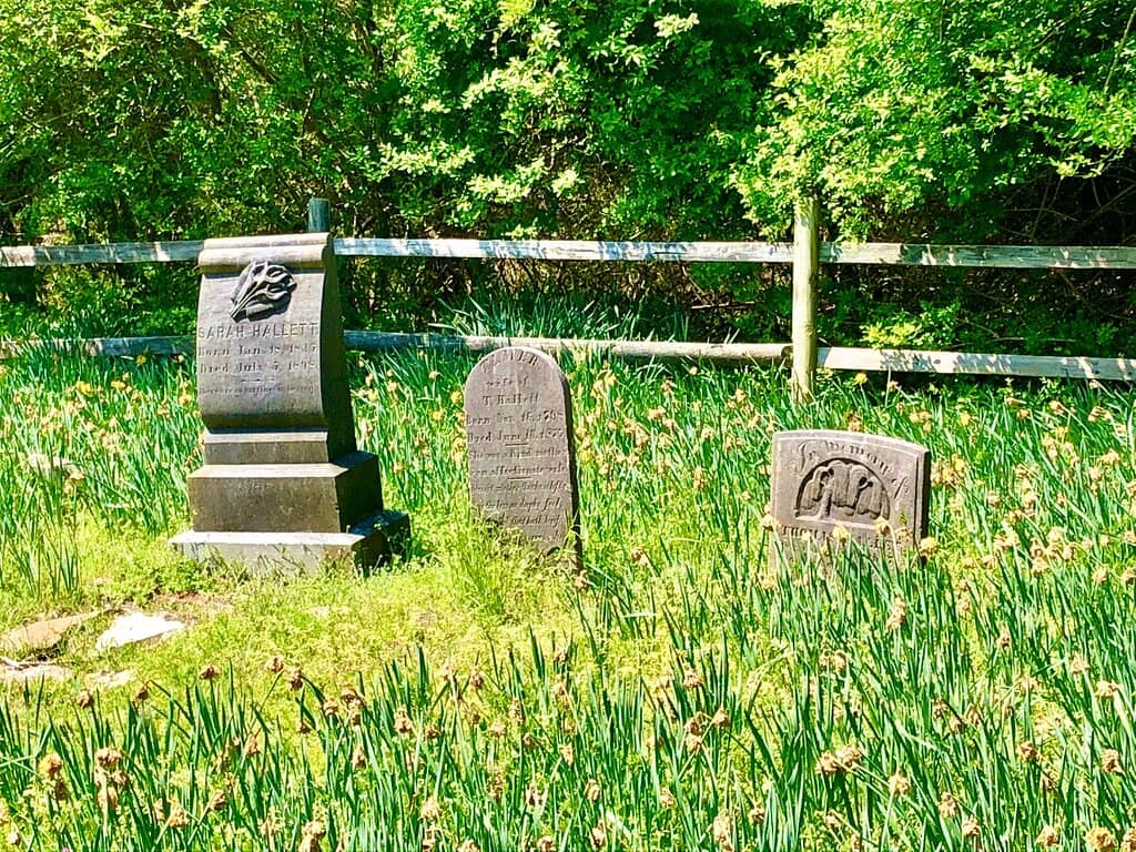 Fisherman's Island National Wildlife Refuge