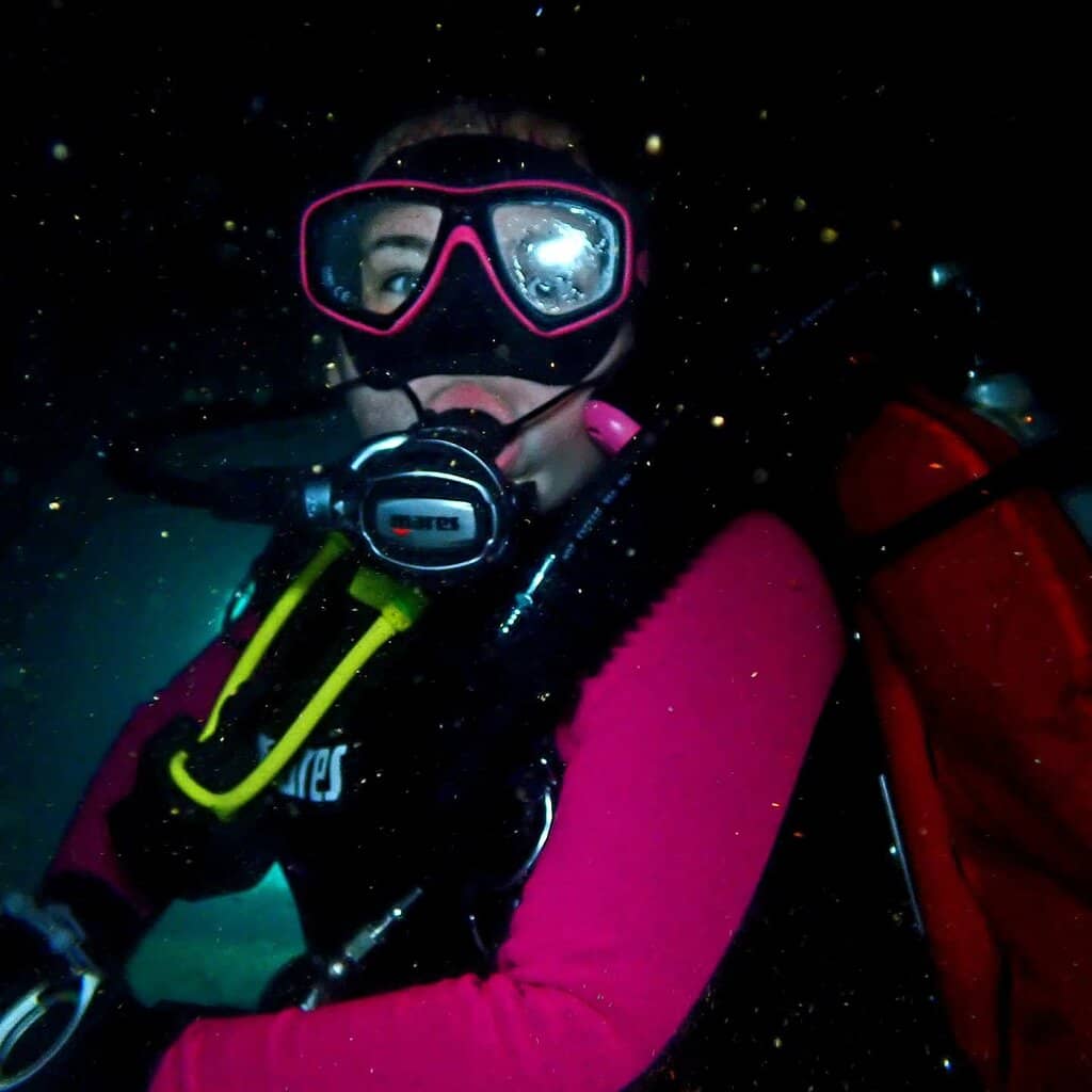 Marine Life Encounters