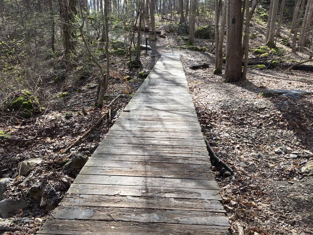 Lake Trail