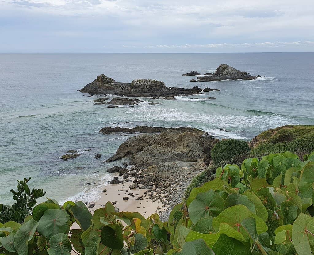 Littoral Rainforest Trails