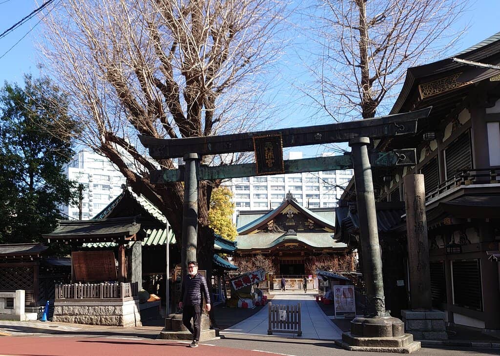 Chrysanthemum Exhibition