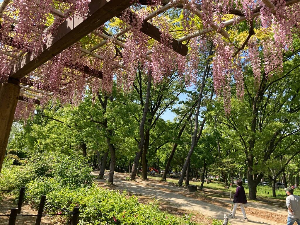 Dutch-style Windmill