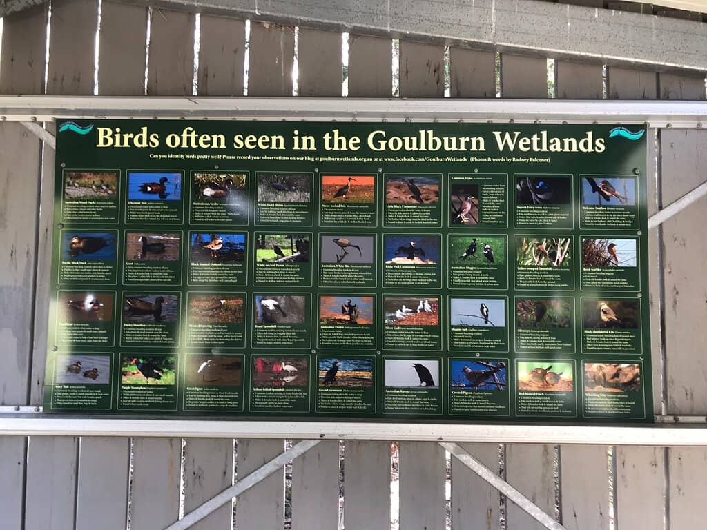 Wildlife Encounters
