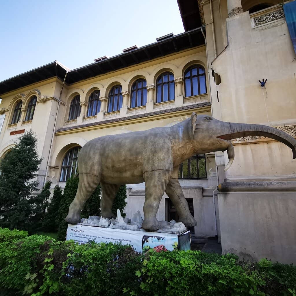 Unique Romanian Species