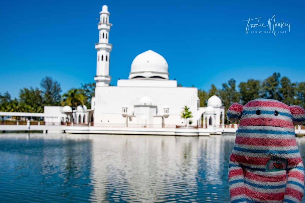 Morning Light Reflections