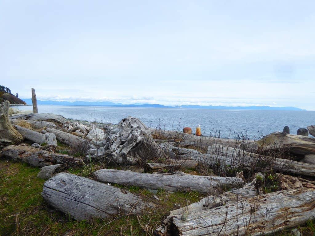Wildlife Watching Opportunities
