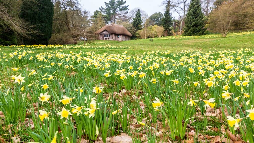 The 1920s Exhibition