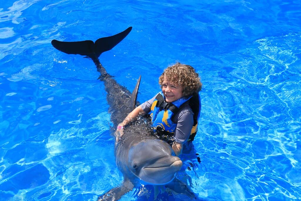 Dolphin Swim Adventure