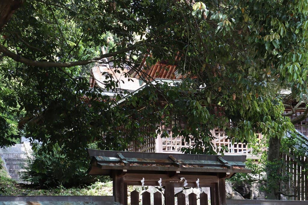 Magnificent Nemuno-tree