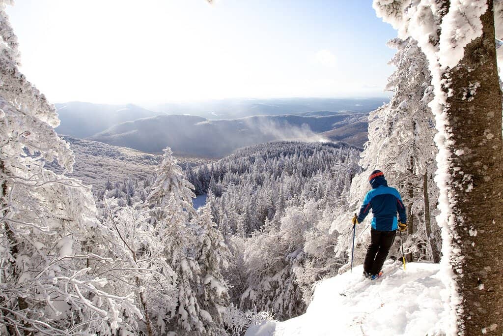 Backcountry & Tree Skiing