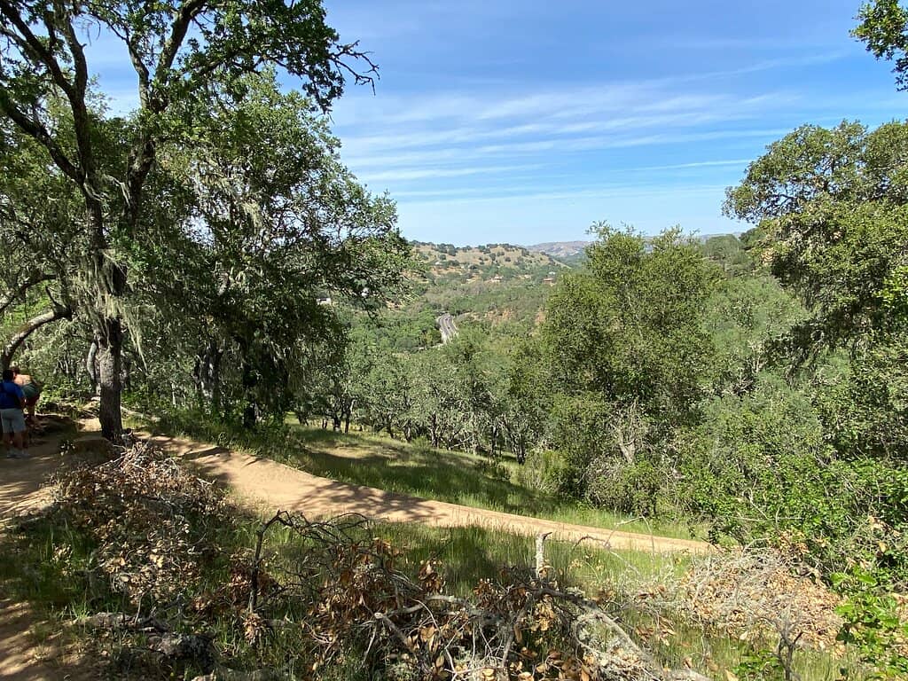 Scenic Overlook