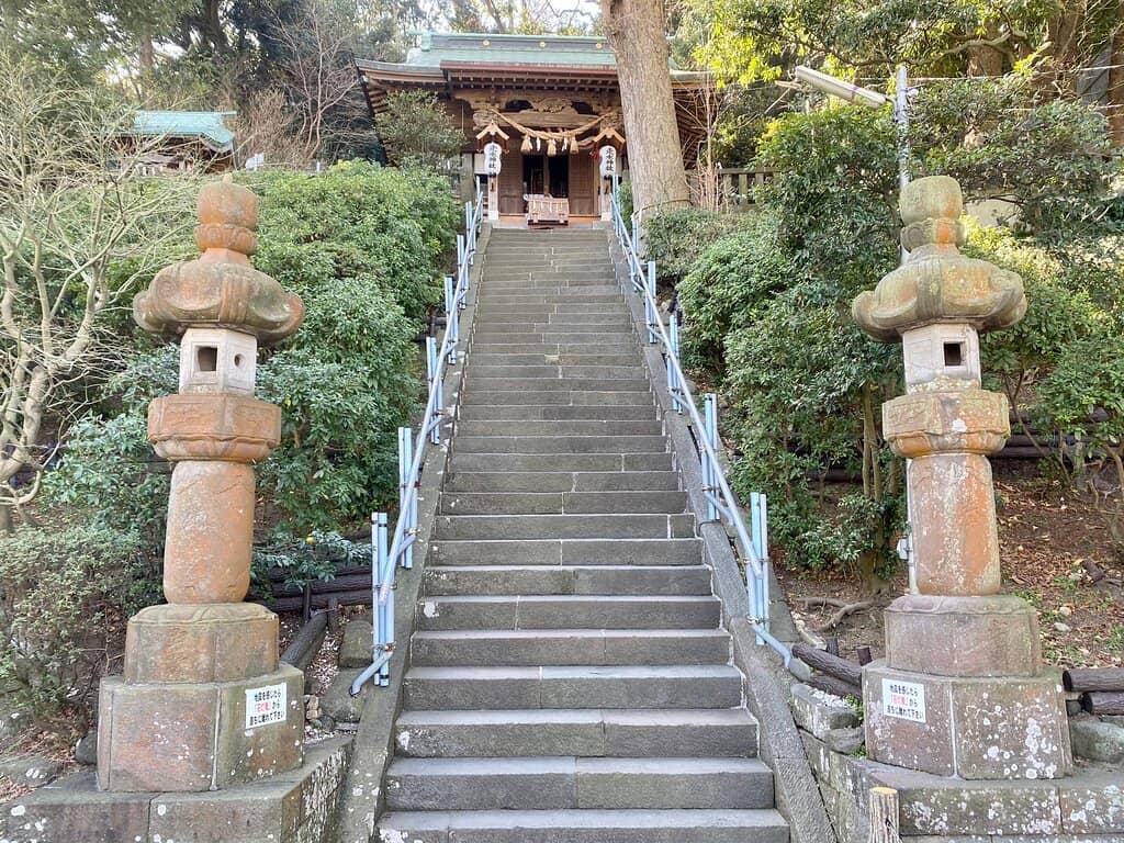 Vertical photo