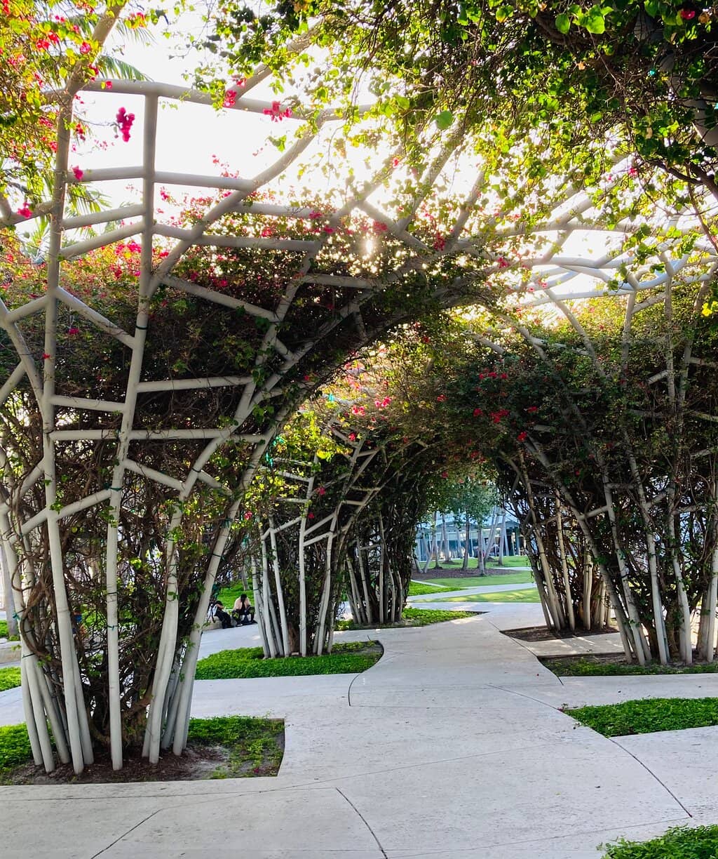 New World Symphony WALLCAST