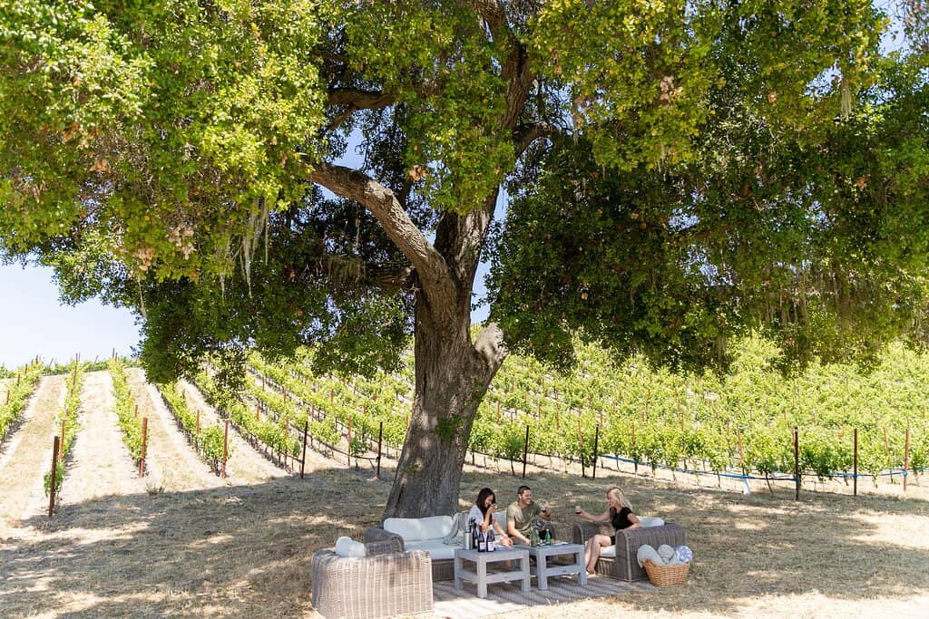 Exceptional Red Blends