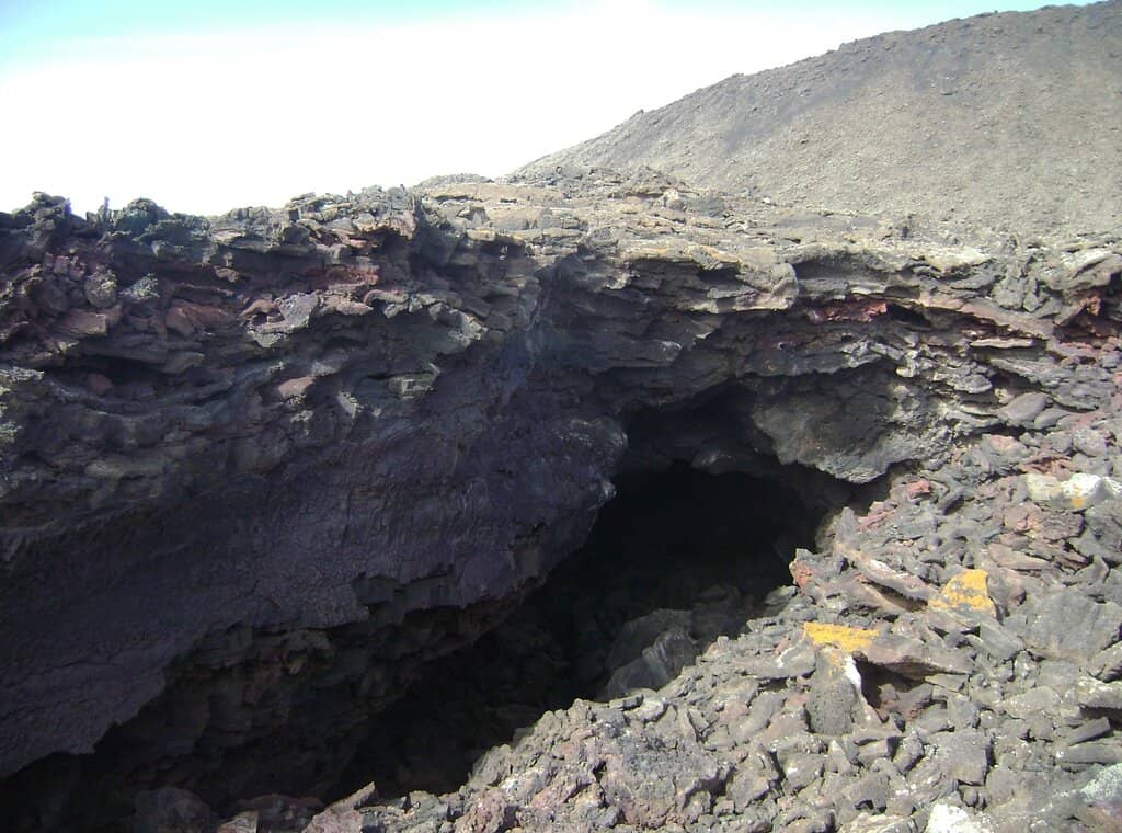 Loop Trail Exploration