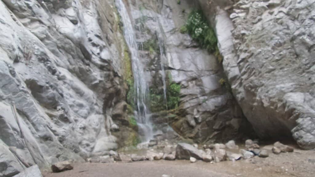 Vertical photo