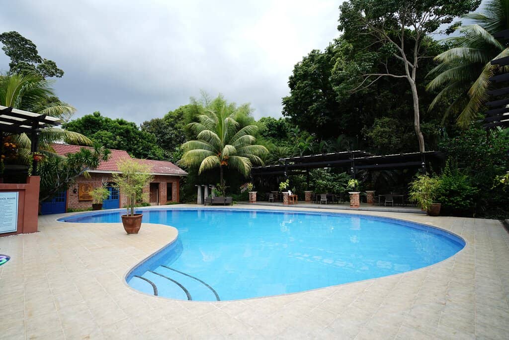 Interactive Bird Show