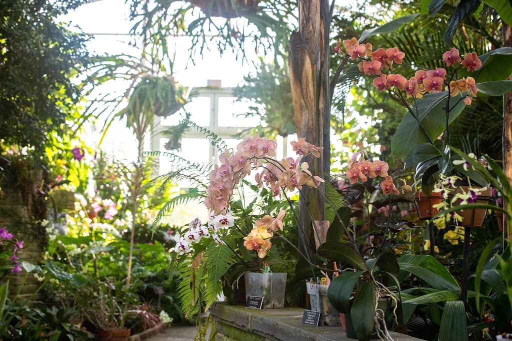 Children's Garden