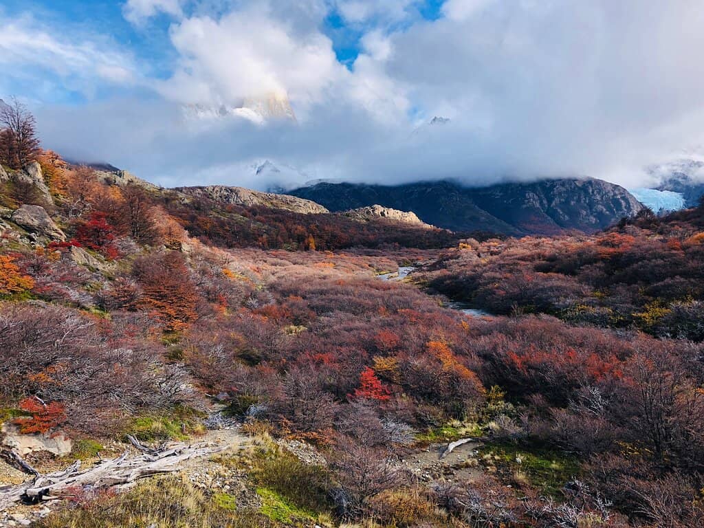 Laguna Capri