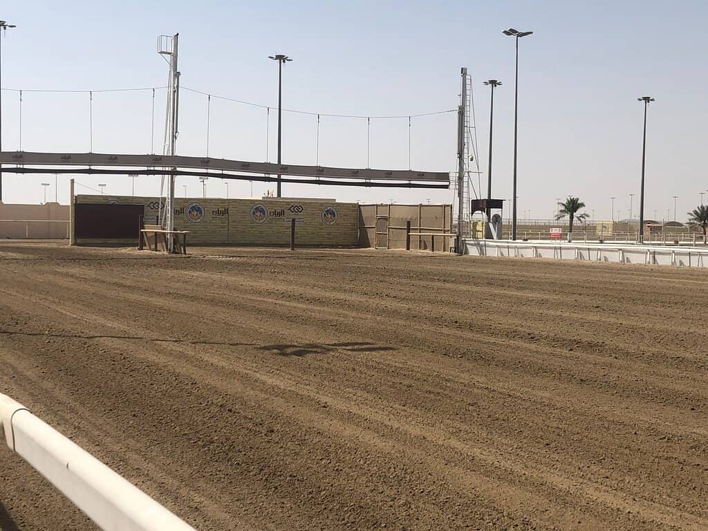 Robot Jockeys in Action