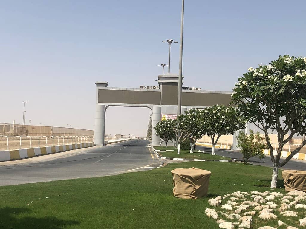 The Thrill of the Race