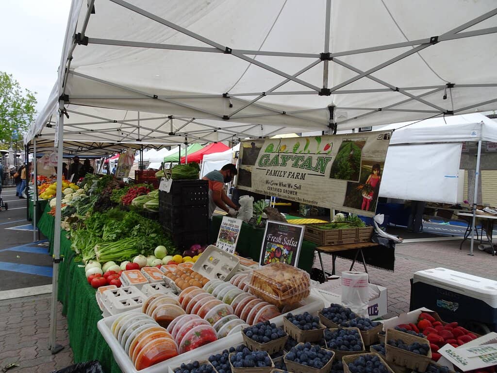 Artisanal Food Vendors