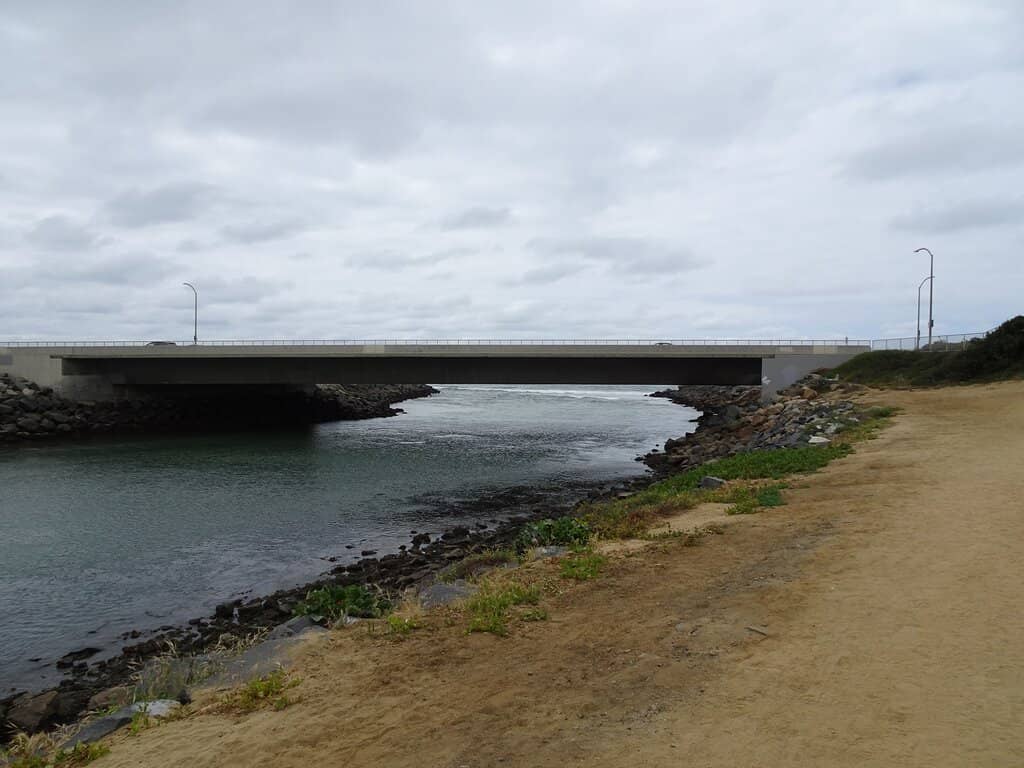 Farm Animal Encounters