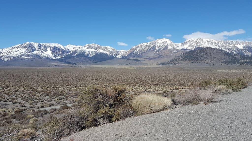 Cinder Cone Formations